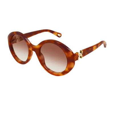 Chloé Ch0332s Marcie-linea Sunglasses In Brown