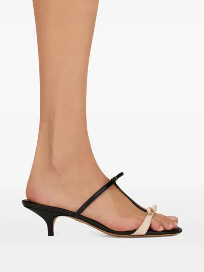 Ferragamo Kitten-heel Sandals With Bow T-strap In Multi