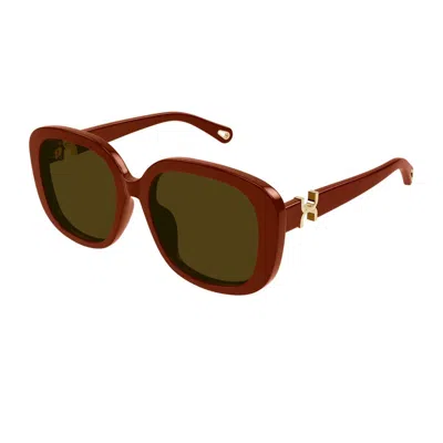 Chloé Ch0303sk Marcie 004 Burgundy Brown Sunglasses In Brown