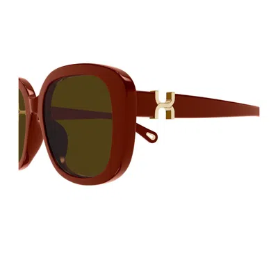 Chloé Ch0303sk Marcie 004 Burgundy Brown Sunglasses In Brown