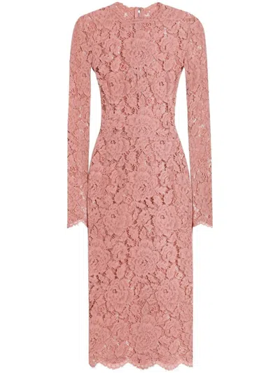 Dolce & Gabbana Women Branded Floral Cardonetto Lace Sheath Dress In Pink