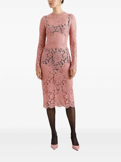 Dolce & Gabbana Women Branded Floral Cardonetto Lace Sheath Dress In Pink