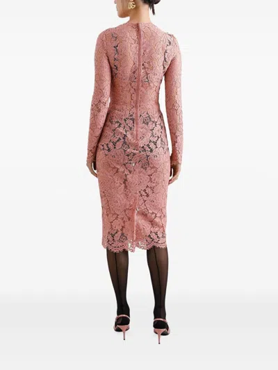 Dolce & Gabbana Women Branded Floral Cardonetto Lace Sheath Dress In Pink