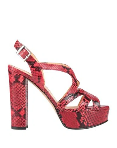 Baldinini Trend Woman Sandals Red Size 8 Leather In Multi