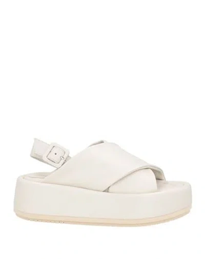 Paloma Barceló Woman Sandals White Size 8 Leather In White