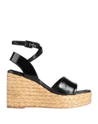 Paloma Barceló Woman Sandals Black Size 8 Leather In Black