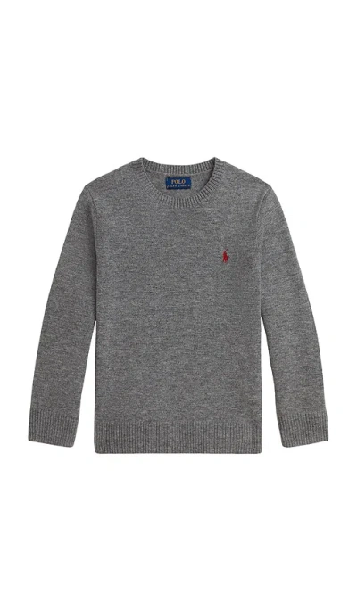 Polo Ralph Lauren Long Sleeve Crewneck Sweater In Gray