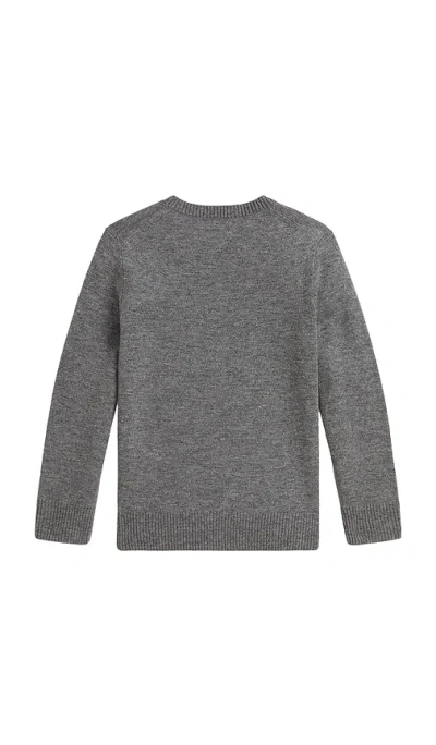 Polo Ralph Lauren Long Sleeve Crewneck Sweater In Gray