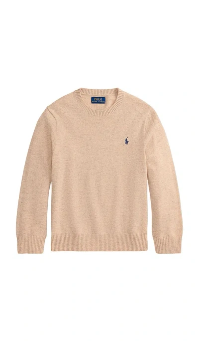 Polo Ralph Lauren Long Sleeve Crewneck Sweater In Brown