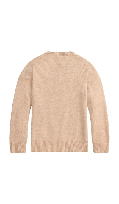 Polo Ralph Lauren Long Sleeve Crewneck Sweater In Brown