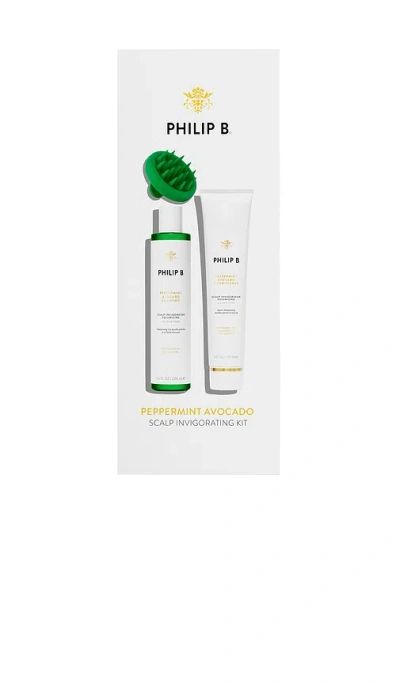 Philip B Peppermint Avocado Scalp Invigorating Kit In Multi