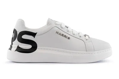 Harris Shoes 1913 Sneakers In Pelle In White