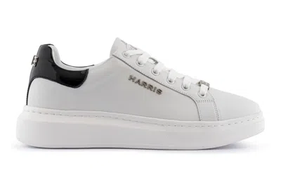 Harris Shoes 1913 Sneakers In Pelle In Multi