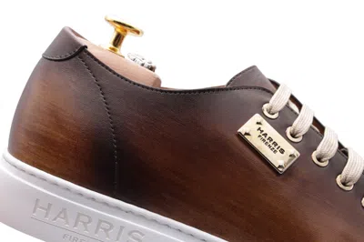 Harris Shoes 1913 Sneakers Liscia Dipinta A Mano In Multi