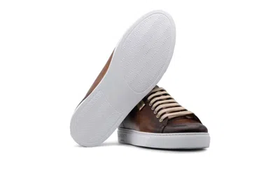 Harris Shoes 1913 Sneakers Liscia Dipinta A Mano In Multi