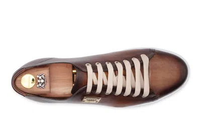 Harris Shoes 1913 Sneakers Liscia Dipinta A Mano In Multi