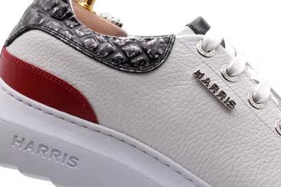 Harris Shoes 1913 Sneakers In Pelle Stampata In Multi