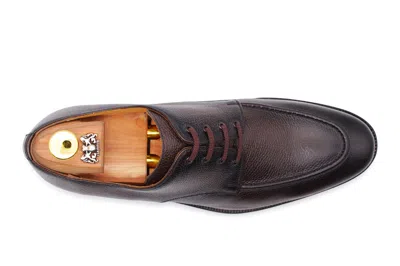 Harris Shoes 1913 Derby Classico In Pelle Morbida In Brown