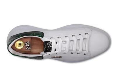 Harris Shoes 1913 Sneakers In Pelle Morbida In White