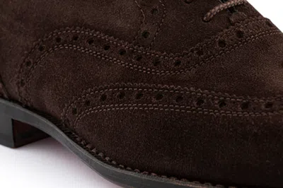 Harris Shoes 1913 Stringata In Camoscio In Brown