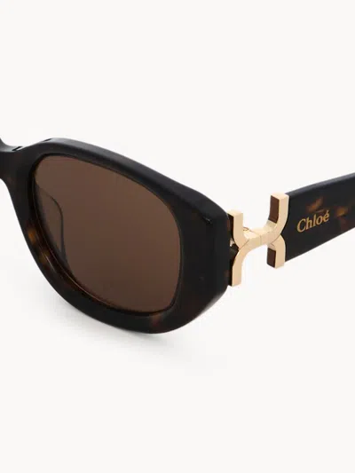 Chloé Gafa Sol Marcie Havana Cristal Marron In Black