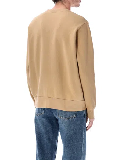 Polo Ralph Lauren Crew Neck Sweatshirt In Brown