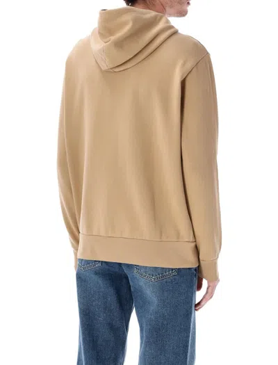 Polo Ralph Lauren Loopback Cotton Fleece Hoodie In Brown