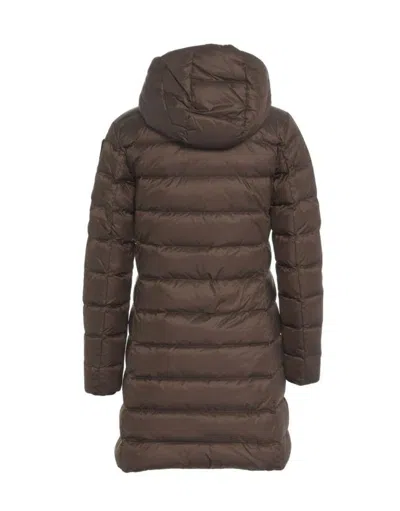 Blauer Usa Coats In Brown