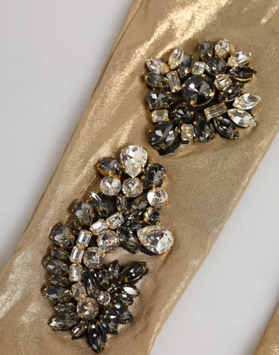 Dolce & Gabbana Beige Satin Crystal Elbow Length Mitten Women's Gloves In Sand