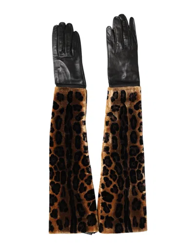 Dolce & Gabbana Brown Black Leopard Leather Elbow Length Mitten Women's Gloves In Multi