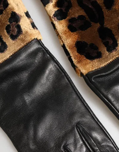 Dolce & Gabbana Brown Black Leopard Leather Elbow Length Mitten Women's Gloves In Multi
