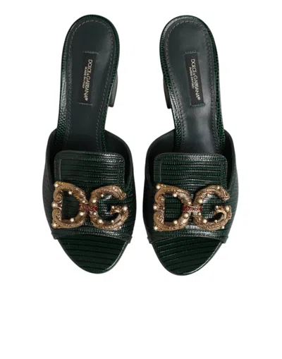 Dolce & Gabbana Green Dg Amore Heel Slides Sandals Shoes In Green