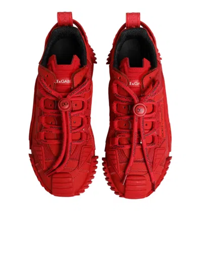 Dolce & Gabbana Red Logo Lace Low Top Ns1 Sneakers Shoes In Red