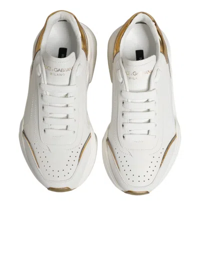Pre-owned Dolce & Gabbana White Gold Daymaster Low Top Sneakers Women's Shoes ()