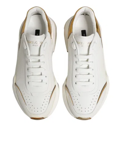 Pre-owned Dolce & Gabbana White Gold Daymaster Low Top Sneakers Women's Shoes ()