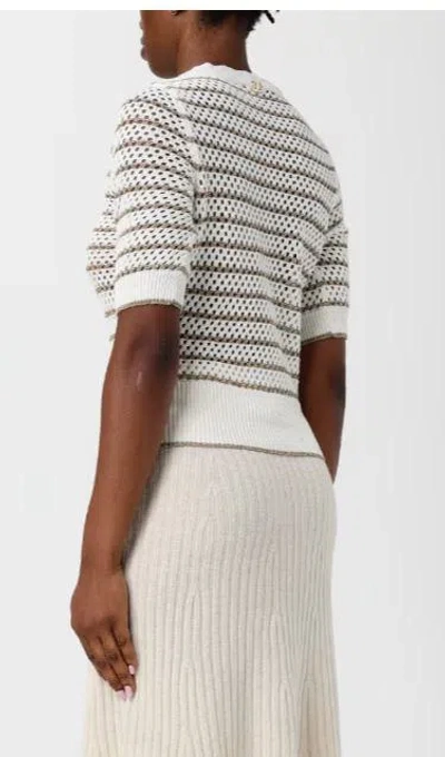 Twinset Twin-set Sweaters In Neutral