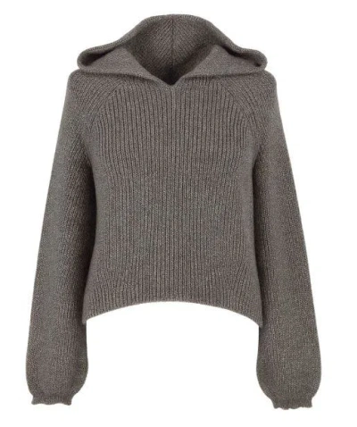 Twinset Sweaters In Gray