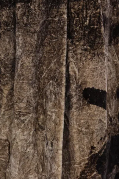 Ziggy Chen Trousers In Brown