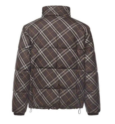 Burberry Jackets Truffle In Brown