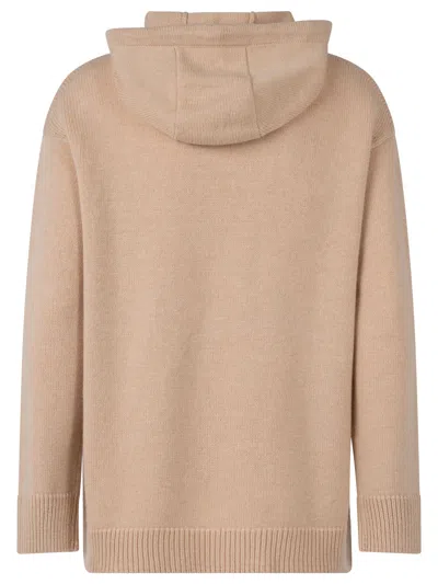 Max Mara Wool And Cashmere Hooded Sweater In Brown