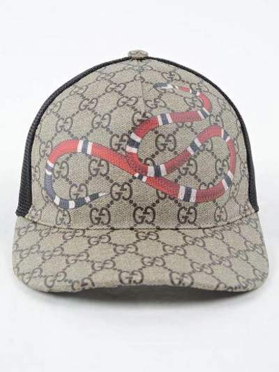 Shop Gucci Snake Baseball Hat In D.brown/black