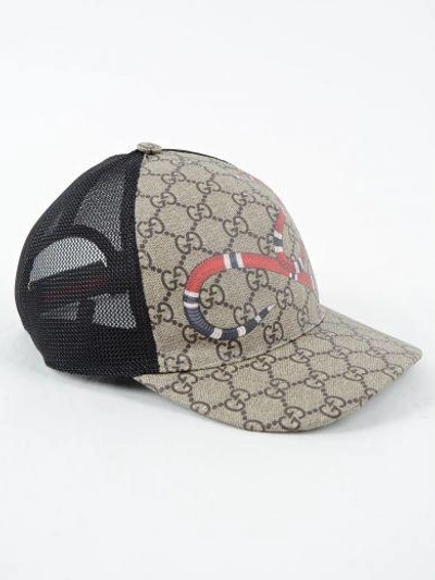 Shop Gucci Snake Baseball Hat In D.brown/black