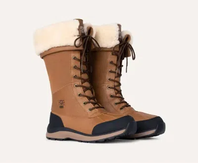 Ugg Women's Adirondack Tall Boot In Chestnut In Brown