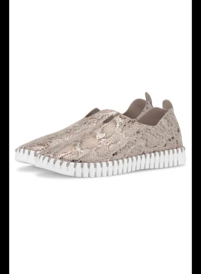 Ilse Jacobsen Women's Tulip Perforated Slip-on Sneaker In Wheat In Gold