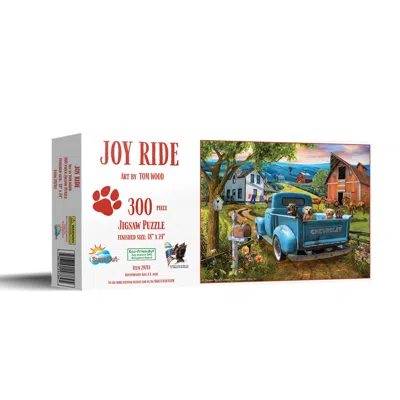 Sunsout Joy Ride 300 Piece Jigsaw Puzzle For Adults In Multi