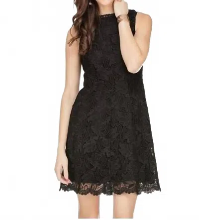 Jade Women's Lace Flared Dress In Black In Black