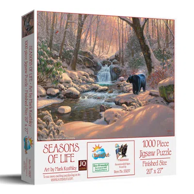 Sunsout Seasons Of Life 1000 Piece Jigsaw Puzzle For Adults In Multi