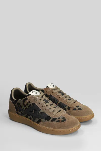 Ash Sunset Sneakers In Brown