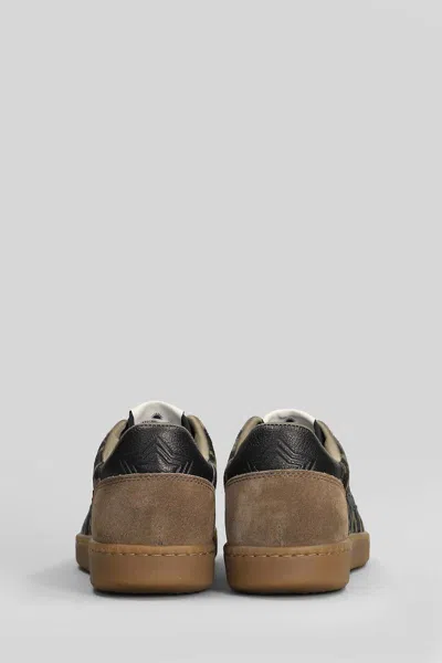 Ash Sunset Sneakers In Brown