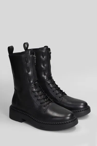 Ash Misty Combat Boots In Black